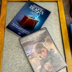 Fantastic Beasts and Where to Find Them DVD New